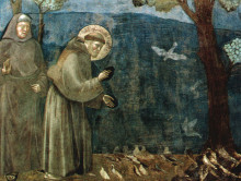 Giotto_Francesco_uccelli