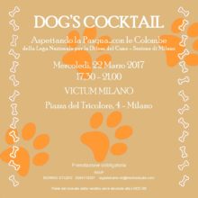dog's cocktail - 24 marzo invito lr1